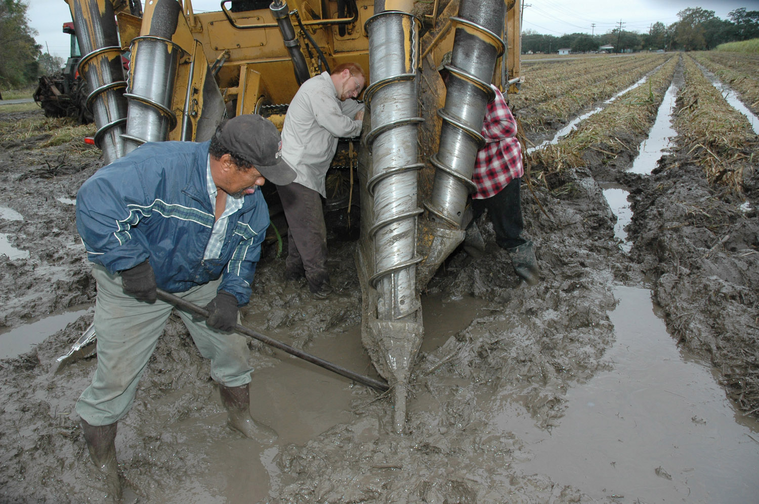 Reservist, his family find sweet success raisin' cane > Air Force > Display