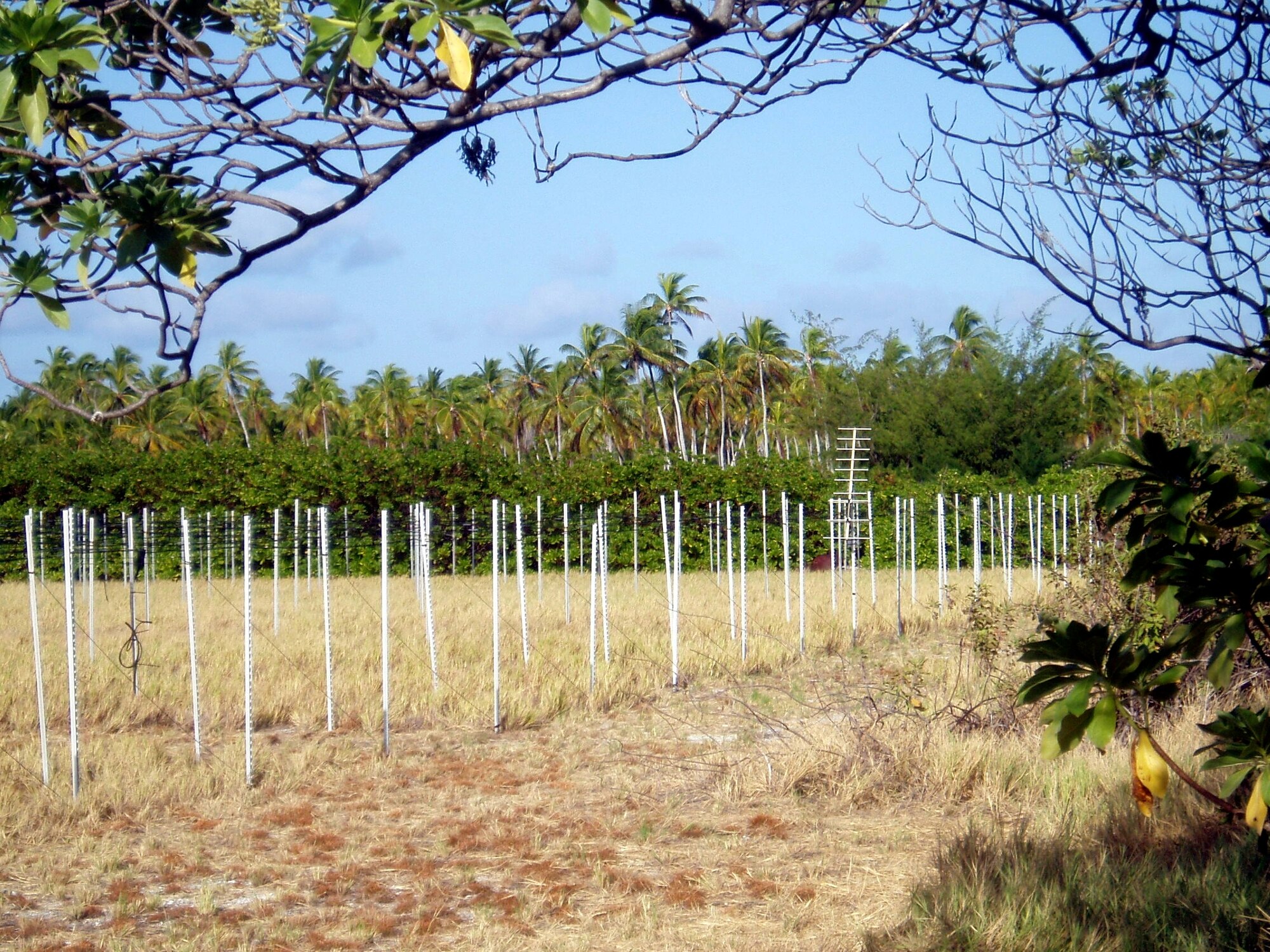 KIRITIMATI ISLAND, Republic of Kiribati - Scintillation Network Decision Aid (SCINDA) antenna, located on Kiritimati Island (Christmas Island), Republic of Kiribati, monitors geostationary satellite communication signals to determine the effects of ionospheric turbulence. (Air Force photo)

