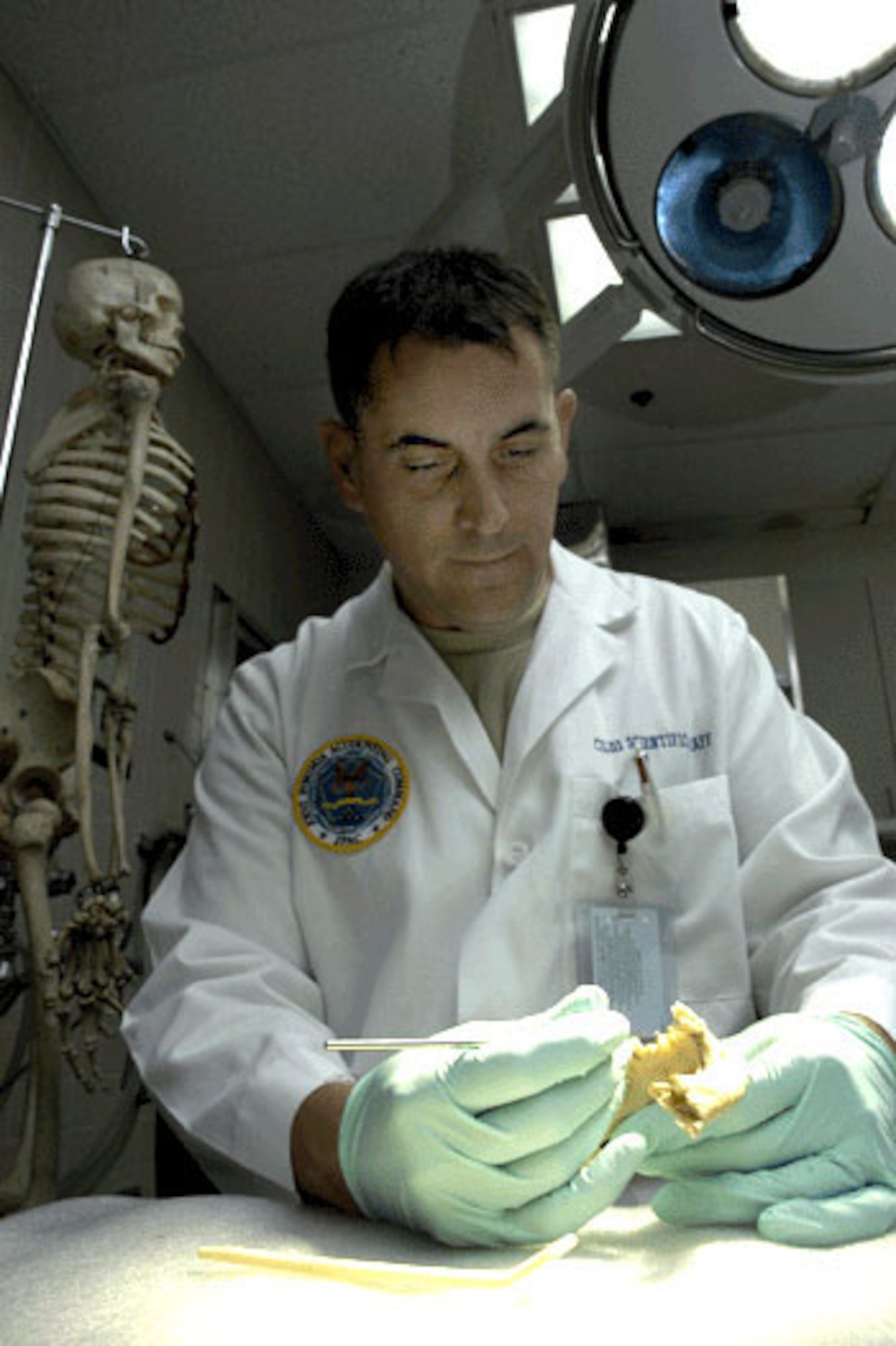 HICKAM AIR FORCE BASE, Hawaii -- Odontologist Lt. Col. Gregory Silver, of the Joint POW/MIA Accounting Command's Central Identification Laboratory, examines a partially edentulous mandible. (JPAC photo by U.S. Navy Photographer's Mate 2nd Class Elizabeth A. Edwards)