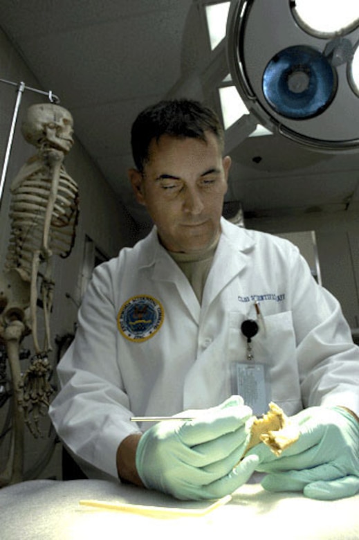 HICKAM AIR FORCE BASE, Hawaii -- Odontologist Lt. Col. Gregory Silver, of the Joint POW/MIA Accounting Command's Central Identification Laboratory, examines a partially edentulous mandible. (JPAC photo by U.S. Navy Photographer's Mate 2nd Class Elizabeth A. Edwards)