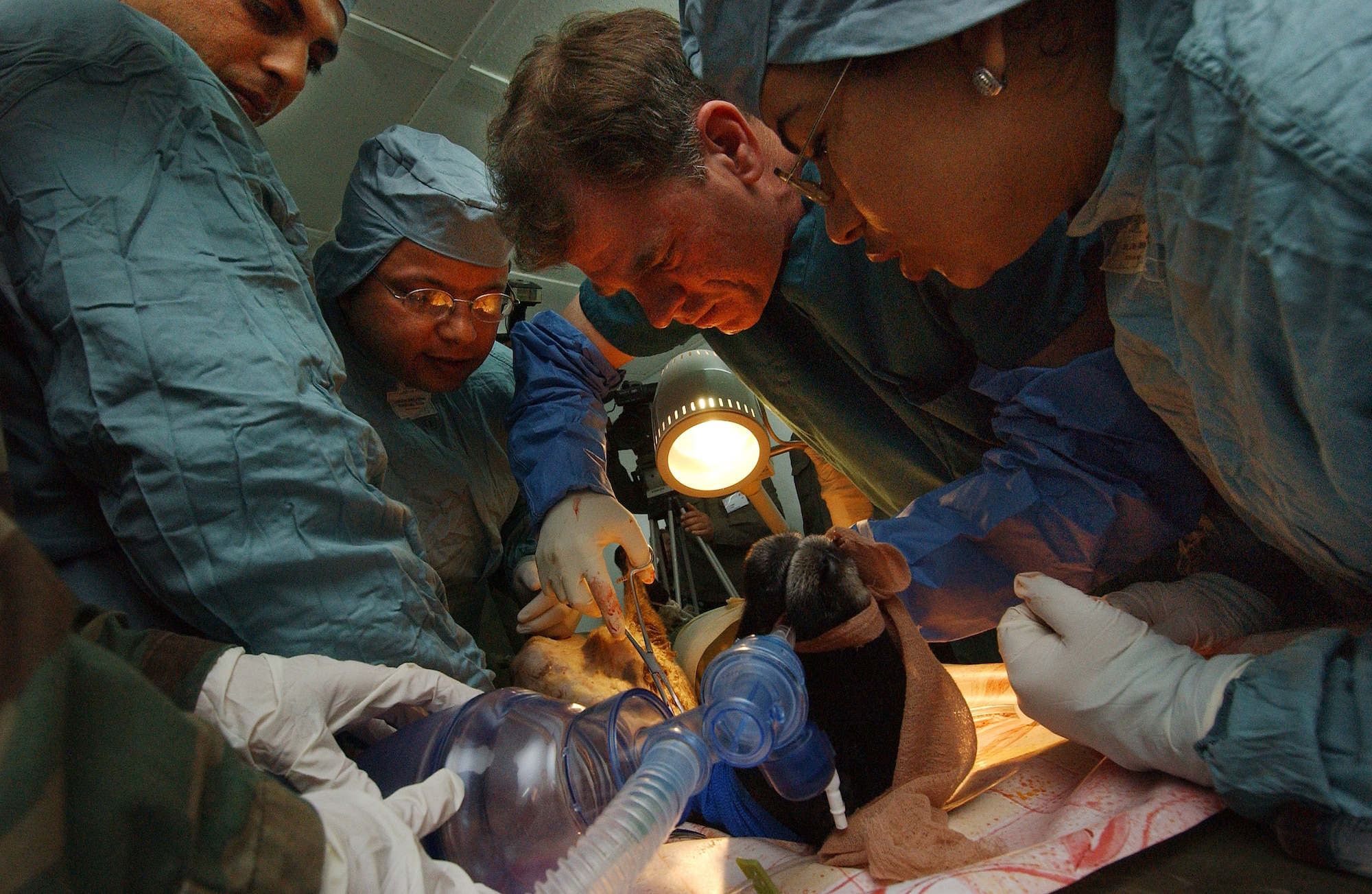 Lt. Col. (Dr.) Richard Standaert, second from right, demonstrates surgical procedures for Tunisian military physicians during the animal surgical lab portion of Exercise MEDLite 2006 at Kharrouba Air Base, Tunisia, on Saturday, April 1, 2006. MEDLite 2006 provides the opportunity for Air Force medical specialists to exchange  medical skills, techniques and procedures with Tunisian military medical personnel.  (U.S. Air Force photo/Tech. Sgt. Rick Sforza)