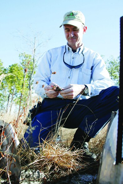 Ronnie June, 20th CES wildlife biologist, examines a frog Jan. 19 as part of a land condition analysis.