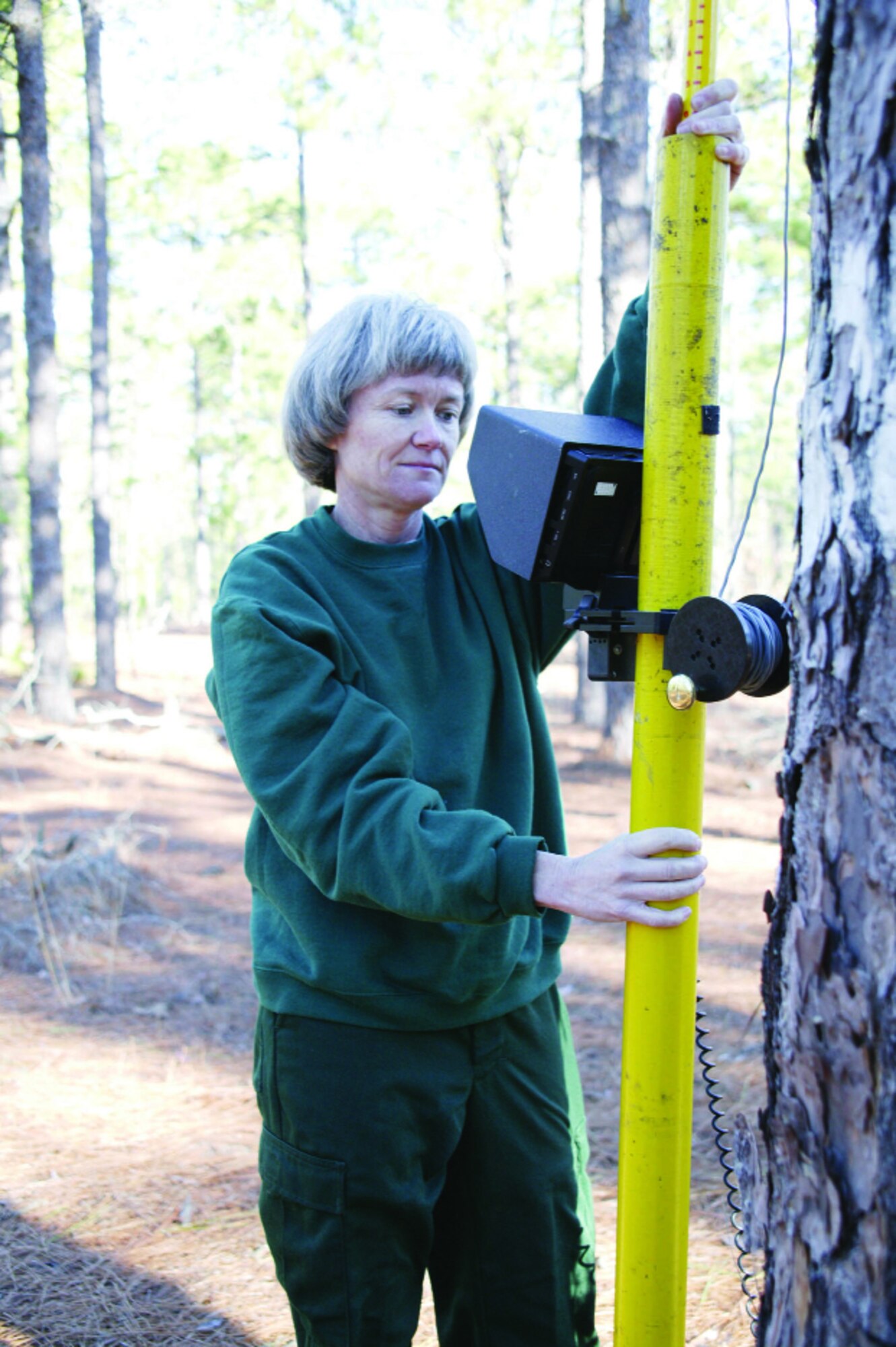 Julie Hovis, 20th CES endangered species biologist, uses a Tree-Top Peeper Jan. 19 to check the conditions in a red cockaded woodpecker tree cavity.