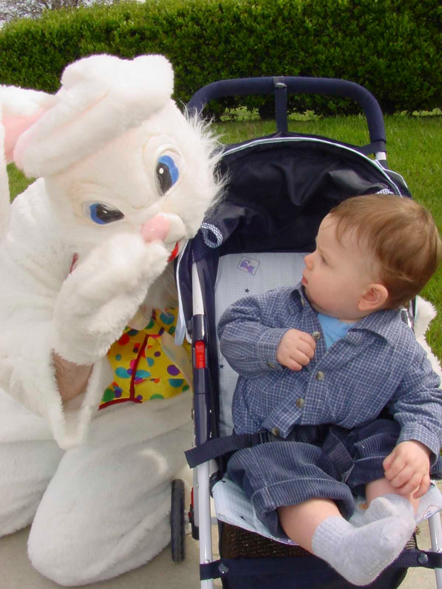 Cole Listello, 1, son of Capt. (Dr.) Trent Listello, 60th Dental Squadron oral surgeon, and Katrina Listello gets a surprise visit by the Easter Bunny during an egg hunt held on the grounds of the Travis Fisher House April 14. (U.S. Air Force photo by Jim Spellman)