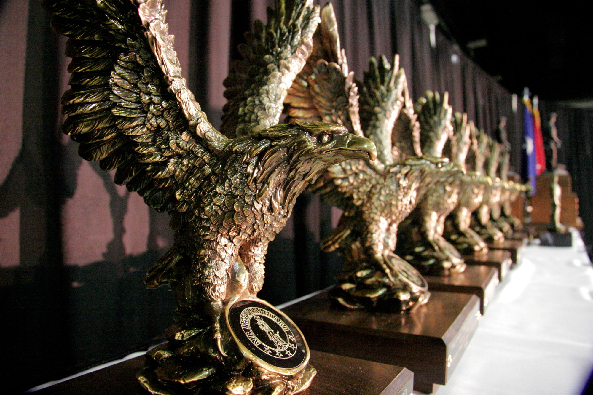 Awards are lined up waiting to be presented to their recipients during the National Guard Association of Oklahoma's Military Ball in Oklahoma City on Saturday, April 22, 2006. More than 500 people attended the annual event. (U.S. Air Force photo/Tech. Sgt. Mark Moore)

