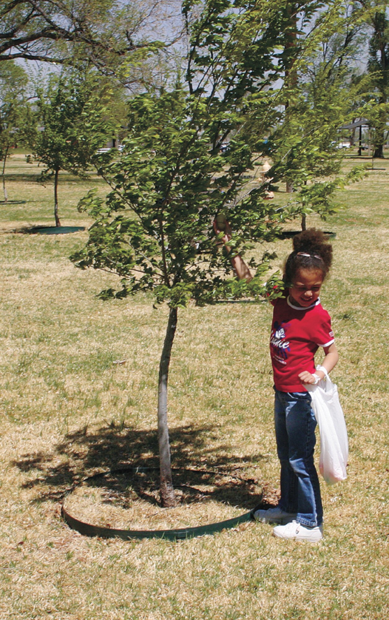 CANNON AIR FORCE BASE, N.M. - Julia Stewart, age 4, reaches into a tree against the high winds to retrieve an Easter egg during the Easter egg hunt at Unity Park. (U.S. Air Force photo by Staff Sgt. Craig Seals)