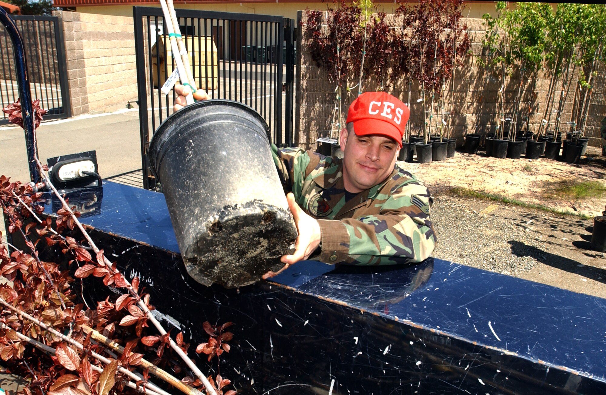 Senior Airman Anthony Howe, 60th Civil Engineer Squadron, takes advantage of the Travis tree give-away in honor of Arbor and Earth Day, April 19. The trees will be planted at his worksite. (Photo by Nan Wylie, Visual Information)