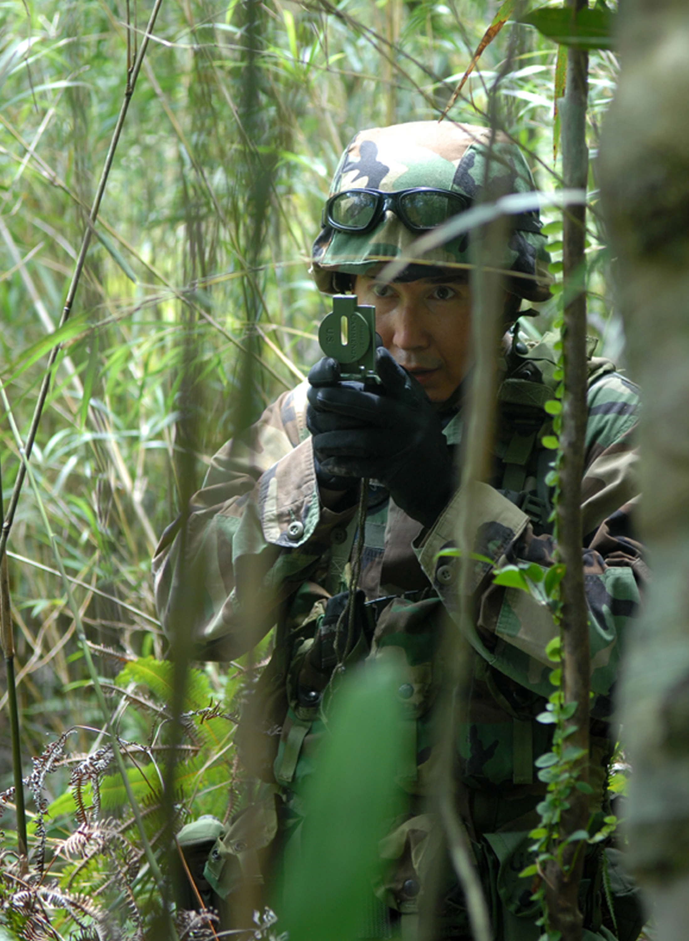 Jungle warfare training > U.S. Air Force > Article Display