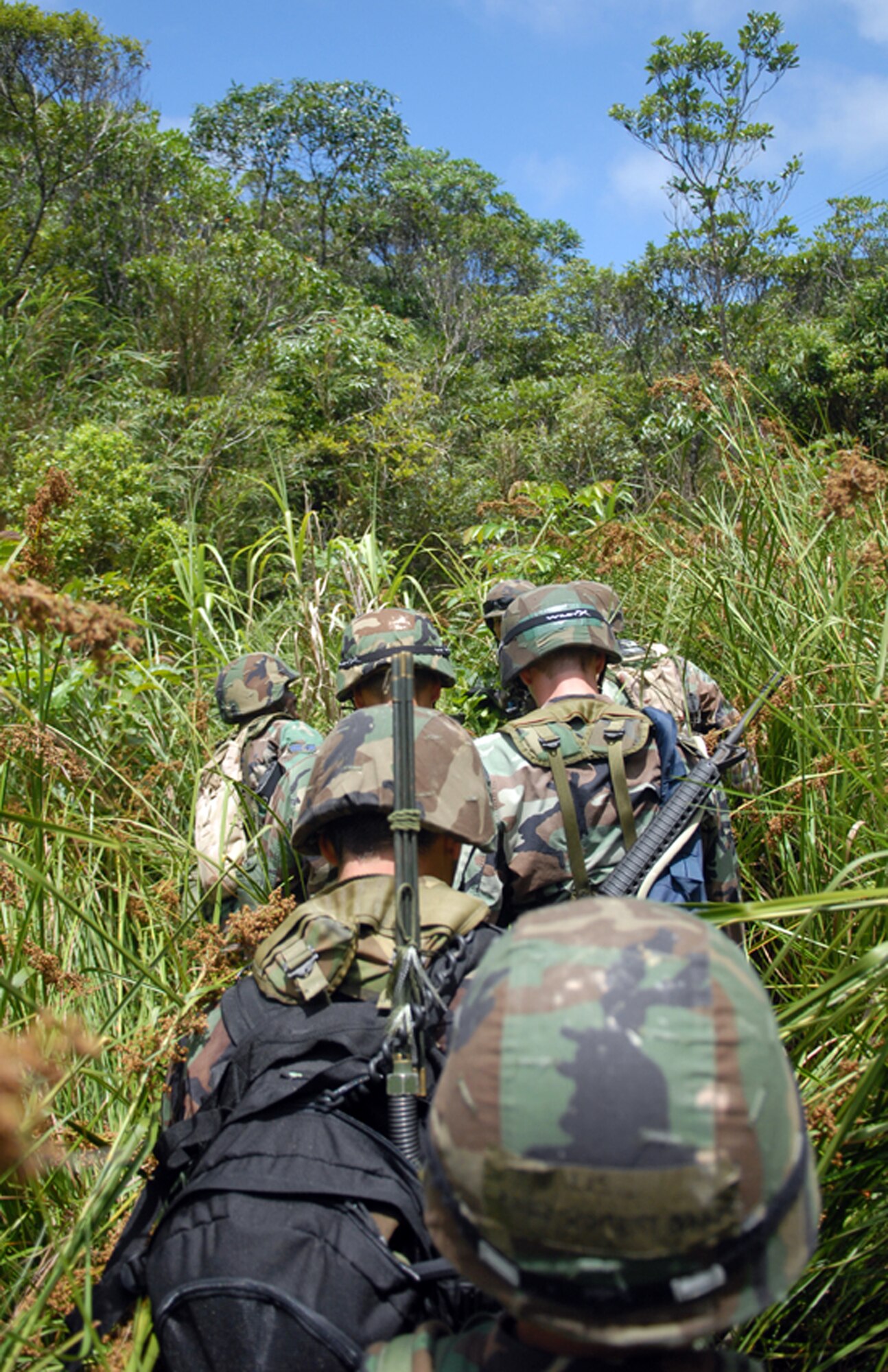 A team from the 18th Communications Squadron at Kadena Air Base, Japan, finds out firsthand how thick the jungle is during Marine jungle warfare training at Camp Gonsalves, Okinawa, on July 25. Thirty Airmen from the 18th CS attended the weeklong course, which included land navigation and other skills, culminating in an endurance course on the final day. The 18th CS is the first non-combat support unit to go through this training. (U.S. Air Force photo/Senior Airman Jeremy McGuffin)
