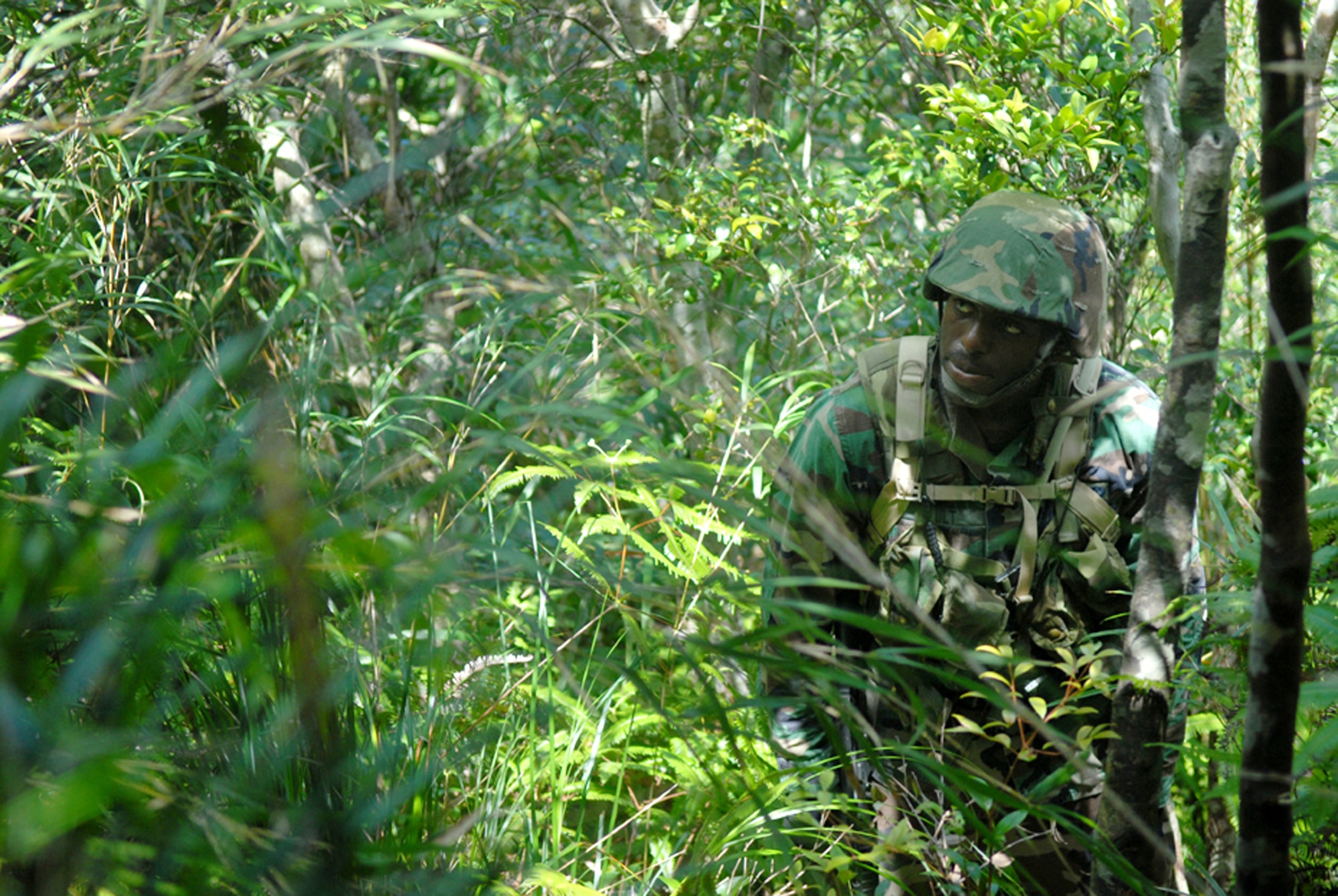 Airman 1st Class Scott Vault finds out just how thick jungles are firsthand during his first navigation mission at the Jungle Warfare Training Center at Camp Gonsalves, Okinawa, on July 25. Thirty Airmen from the 18th Communications Squadron at Kadena Air Base, Japan, attended the weeklong course, which included land navigation and other skills, culminating in an endurance course on the final day. The 18th CS is the first non-combat support unit to go through this training. (U.S. Air Force photo/Senior Airman Jeremy McGuffin) 

