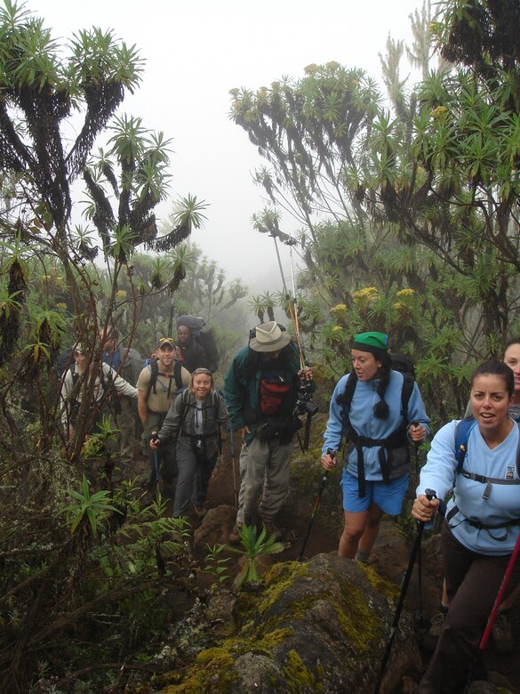 The Seven Summits team and their guides trek through rain forest during day one of their hike to the summit of Mount Kilimanjaro. The ascent was part of the "Seven Summits Challenge", a quest to scale the tallest peaks on all seven continents.  (U.S. Air Force photo by 1st Lt. Mark Uberuaga)
