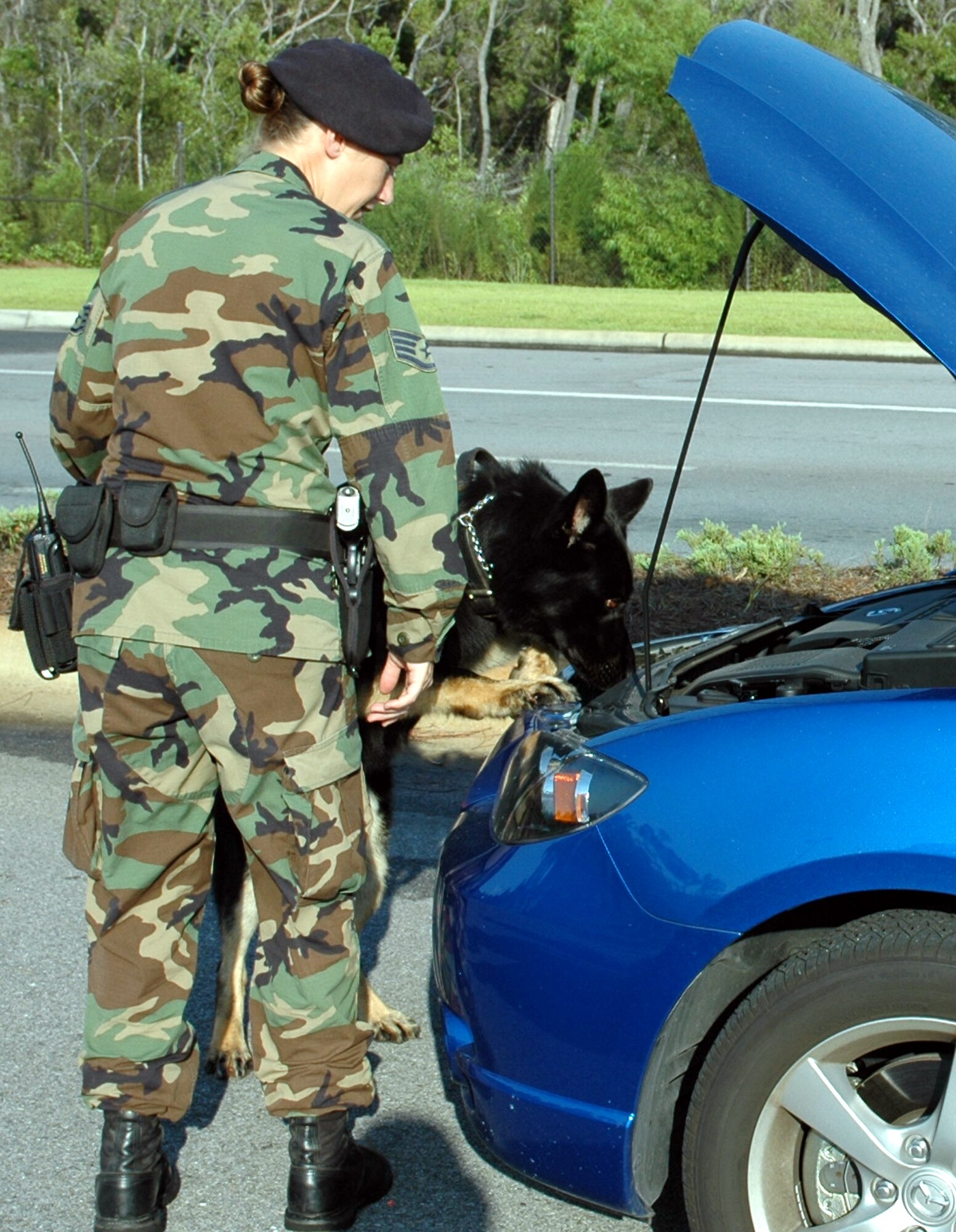 Staff Sgt. Rebecca Lind, 16th Security Forces Squadron, and military working dog Beto, inspect under the hood of a car Monday during a random search at the east gate. (U.S. Air Force photograph by Jamie Haig)