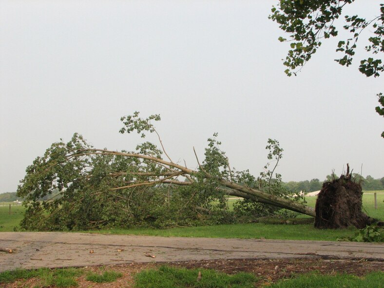 WRIGHT-PATTERSON AIR FORCE BASE, Ohio— The storm packed winds recorded at more than 70 miles an hour. A number of trees and limbs were blown down throughout the base. Some buildings experienced structural damage, and many base members were forced to deal with power outages. Emergency crews were deployed following the storm, and base civil engineering crews spent long hours over the weekend cleaning up debris. (Air Force photos by Hector Cruz)

