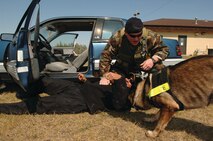 Minot Air Force Base, N.D. -- Staff Sgt. Joseph Throgmorton, 5th Security Forces Squadron military working dog handler, is dragged from a vehicle by Emax, MWD, during a MWD training exercise as Staff Sgt. James Chenoweth, 5th SFS MWD handler,  gives Emax commands Aug. 15. (U.S. Air Force photo by Airman 1st Class Chritopher Boitz)