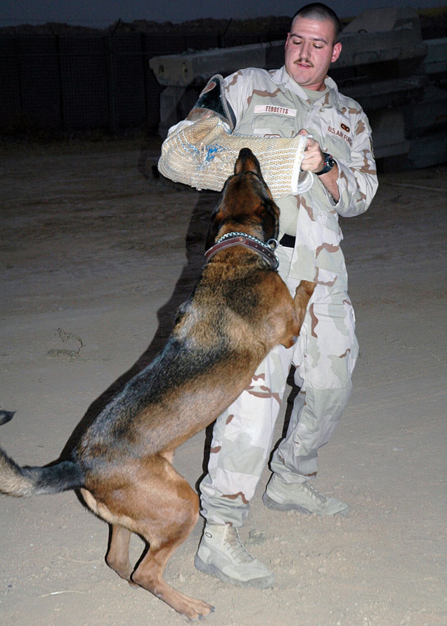 Staff Sgt. Clayton Tebbetts, 506th Expeditionary Security Forces Squadron Military Working Dog Section, tries to keep his balance as J.P., one of several military working dogs here, latches on to the training sleeve during drills.  Military working dog teams are a force multiplier for security forces.  They are responsible for ensuring the safety of the personnel on Kirkuk.  (Photo by Staff Sgt. Stacy Fowler)