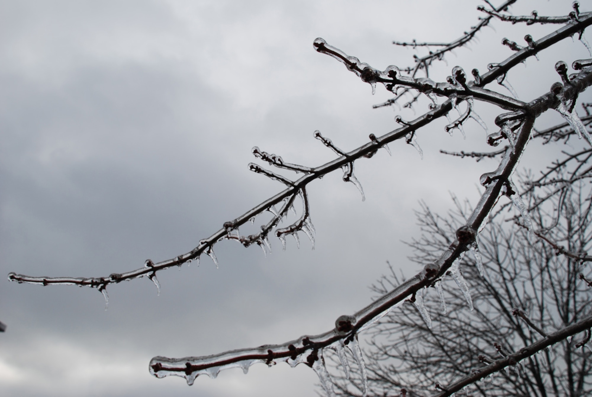 Weather changes in the St. Louis region brought ice and snow Thursday and overnight Friday.  Ice covers most of the trees at Scott Air Force base.  Pre-UTA Staff Meeting has been canceled.  One hour late reporting has been authorized for Saturday, 2 Dec.
