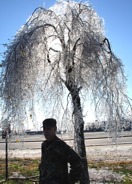 Tech Sgt. Daniel Oliver from the 932nd Airlift Wing surveys the damage ice did to local trees in Illinois.  