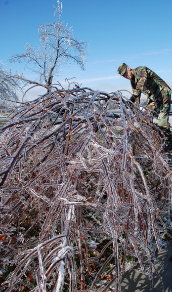 Tech Sgt. Daniel Oliver surveys the recent ice damage near the 932nd Airlift Wing and does his part to move a damaged tree out of the way of a sidewalk.