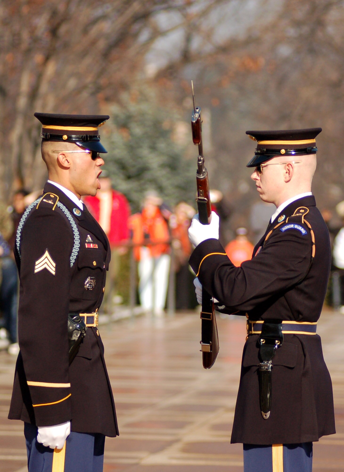 The Army sergeant in charge of the changing of the guard at the Tomb of the Unkown Soldier at Arlington National Cemetery in Virginia barks a command to a guard who was just relieved from his duties Dec. 14. (U.S. Air Force photo/Senior Airman James Bolinger) 
