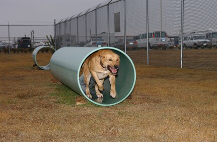 Bak MWD
