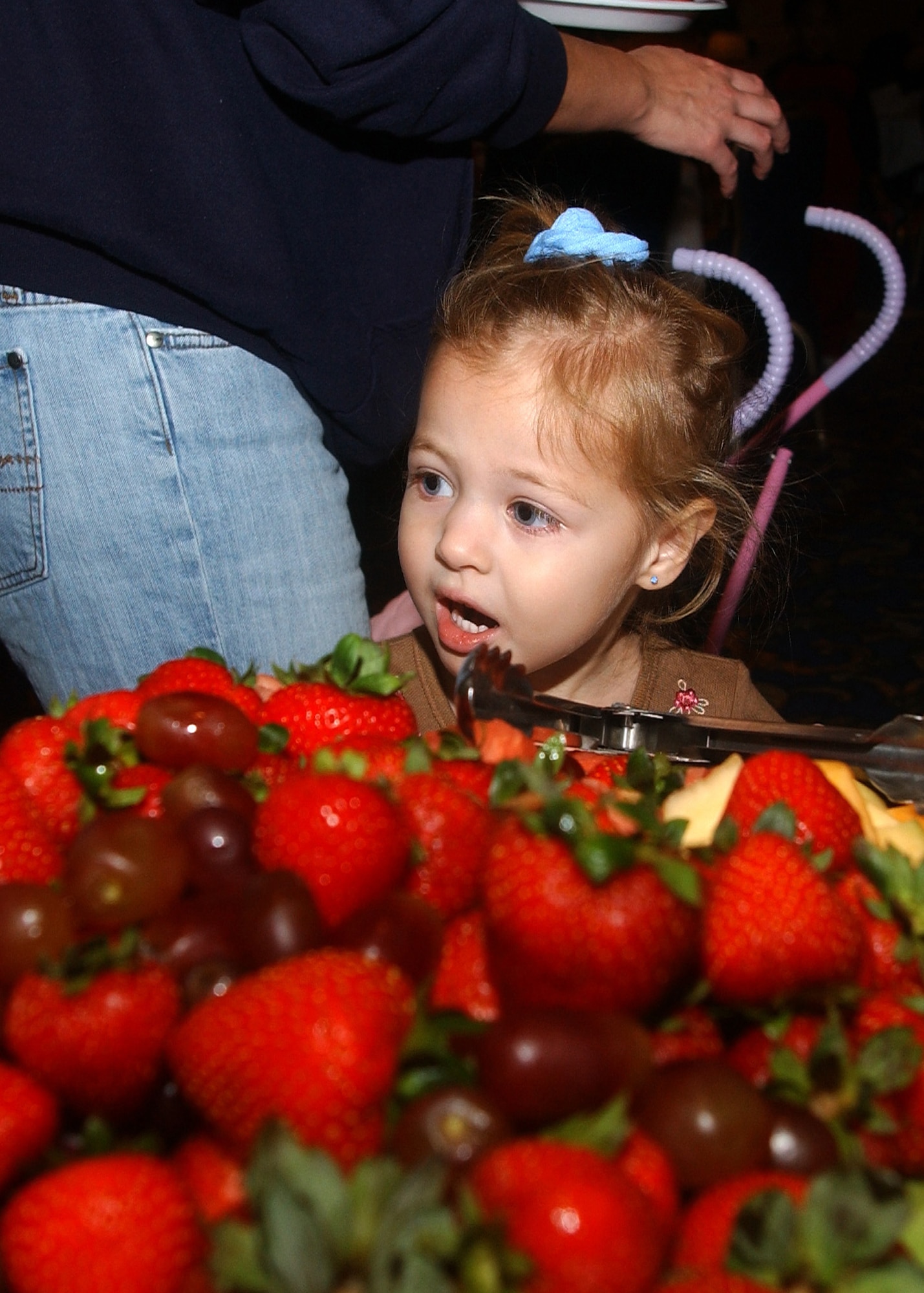 Mekenzie Rafael, dependent of Staff Sgt. Robert Rafael of the 30th Civil Engineering Squadron, stares down the serving line in awe at the amount of food available at the Breakfast with Santa event December 16, 2006, in Vandenberg's Pacific Coast Club.  Mekenzie was one of more than 1500 children and their parents in attendance.  The event is sponsored by the 30th Services Division annually and is open to all Vandenberg families.  (U.S. Air Force photo by Airman 1st Class Nicole Roberts)
