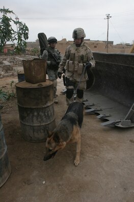 Staff Sgt. Benjamin Bomar, 375th Security Forces Squadron military dog handler, received the Army Commendation Medal for locating insurgent weapons in Iraq with his partner, Mike.