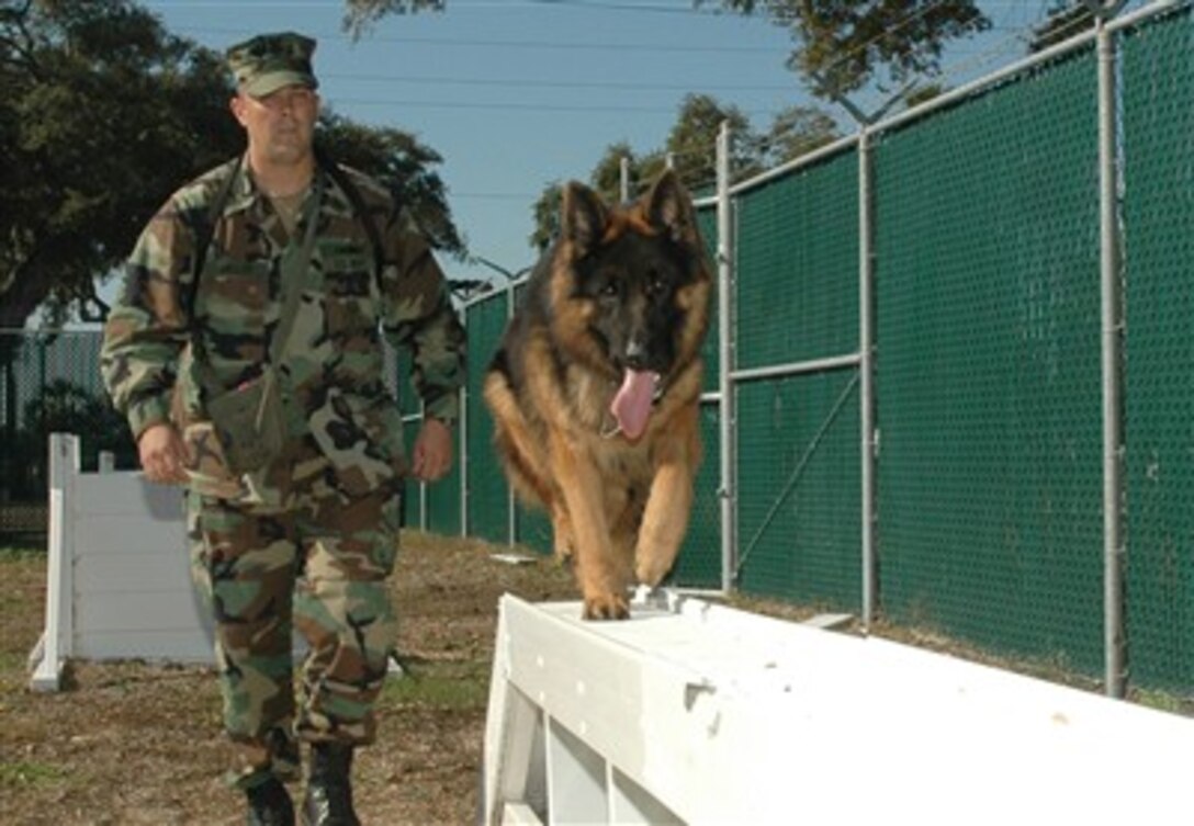 Tim, an explosive detector dog, trains on the Military Working Dog Unit obstacle course during a training session with his handler Petty Officer 1st Class Steven Miller, at Mayport, Fla., Dec. 19, 2006.