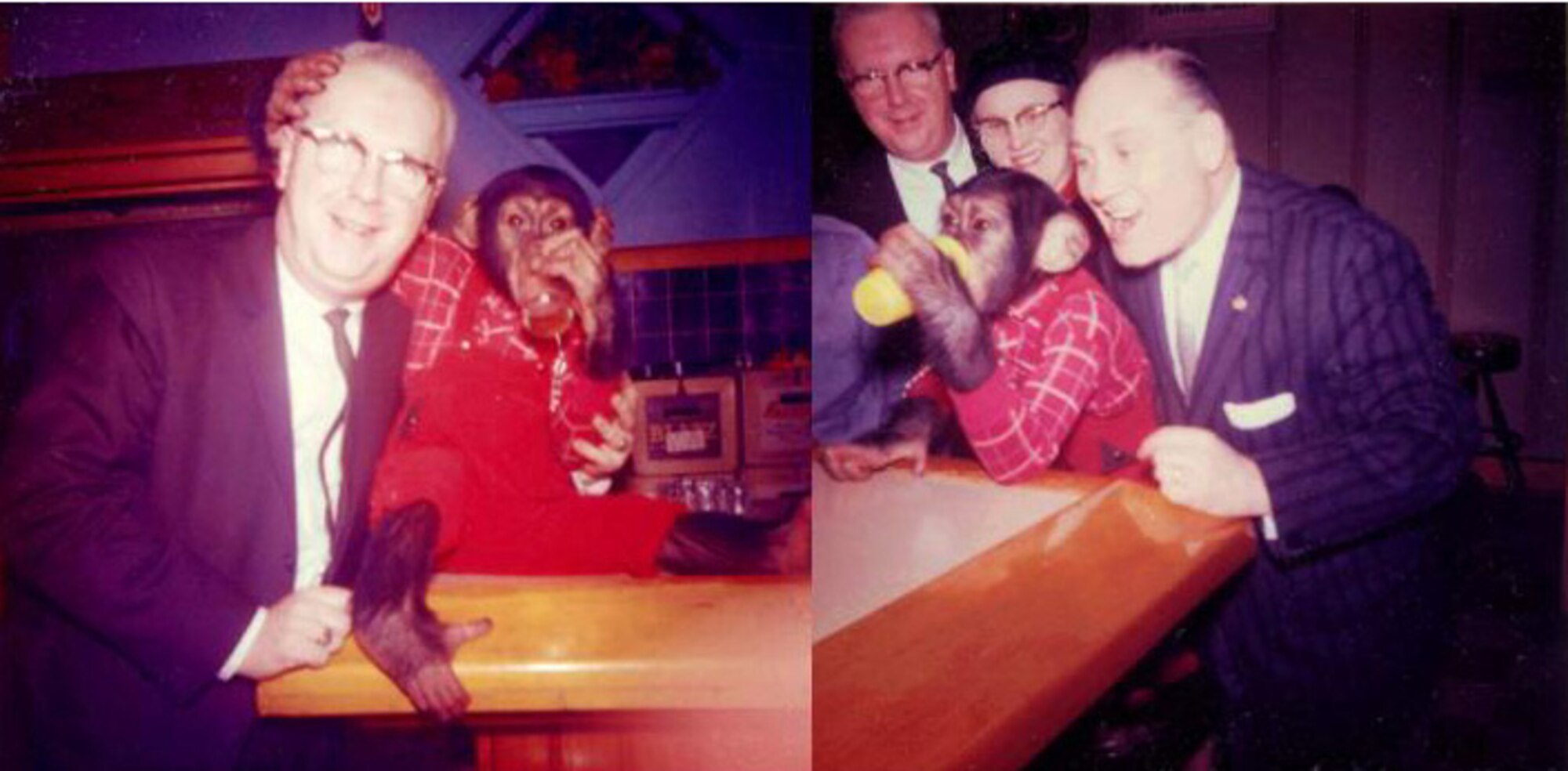 GRISSOM AIR RESERVE BASE, Ind -- Don't monkey around this New Year's Eve.  Make sure you designate a driver.  This safety message brought to you by your friends at Grissom Air Reserve Base. (Photo courtesy El Milagro Studio) 