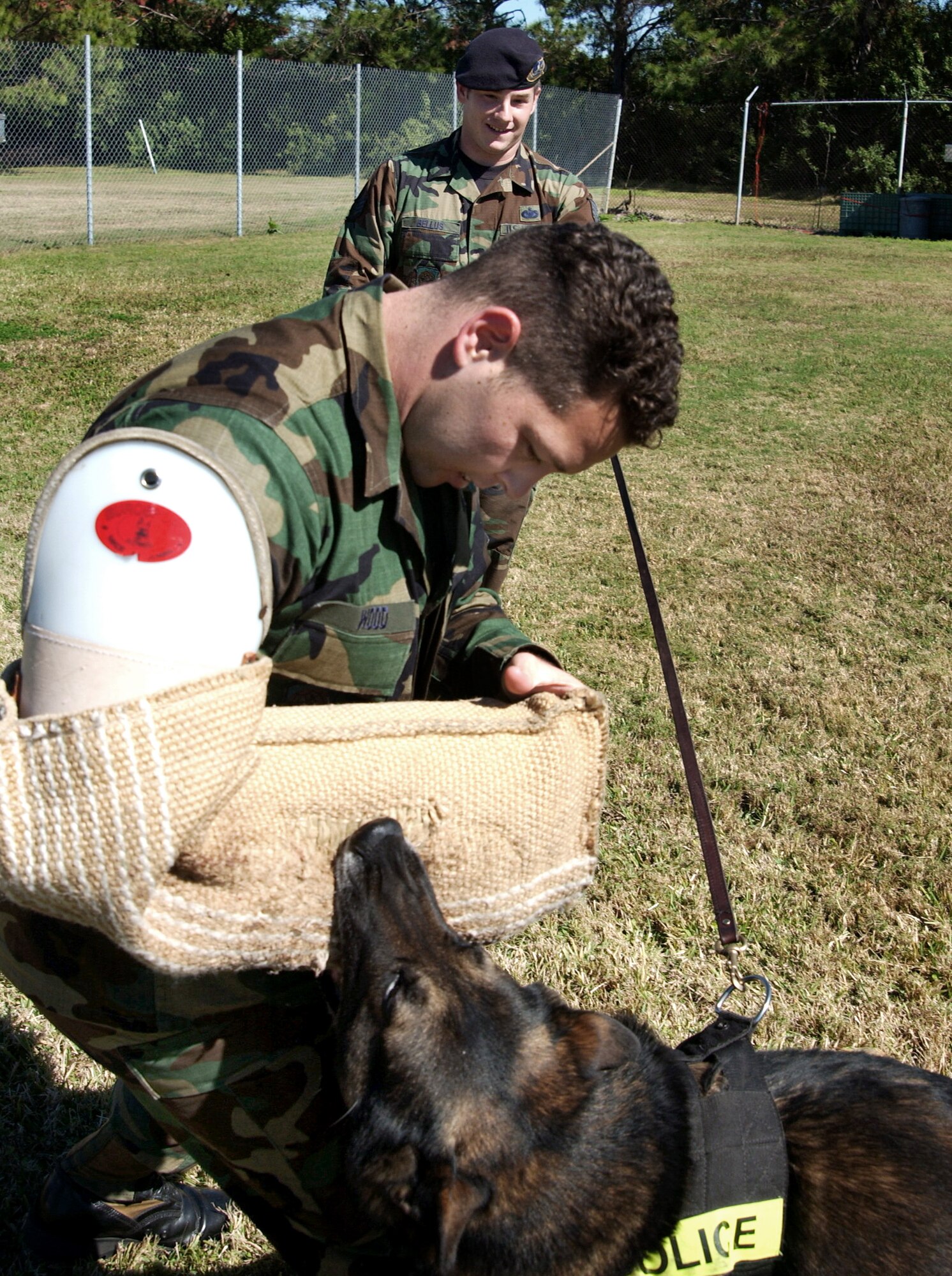 MACDILL AIR FORCE BASE, Fla. (AFPN) - Manzo, a military working dog, controls "aggressor" Tech. Sgt. Jerry Wood before Staff Sgt. Timothy Bellus (back) issues his next command. Sergeant Bellus is a military working dog handler and Sergeant Wood is a military working dog trainer. Both Airmen are with the 6th Security Forces Squadron. (U.S. Air Force photo by Airman 1st Class Bradley A. Lail)