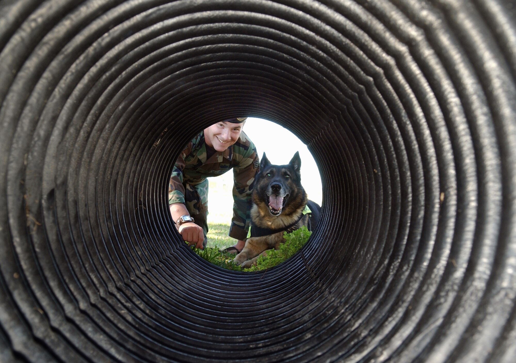 MACDILL AIR FORCE BASE, Fla. (AFPN) -- Staff Sgt. Timothy Bellus, tells his detection patrol dog, Manzo, to go thorough a tunnel here Jan. 31. The tunnel is part of a confidence course to help train the dogs to adapt to different situations. Sergeant Bellus is a military working dog handler with the 6th Security Forces Squadron. (U.S. Air Force photo by Airman 1st Class Bradley A. Lail)