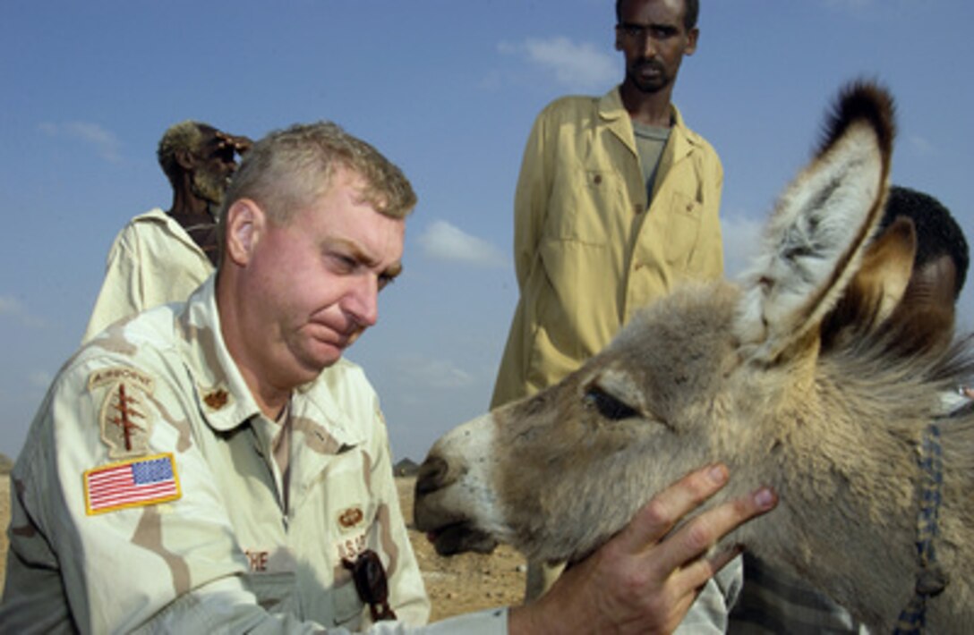 U S Army Veterinarian Maj Jim Riche Examines A Donkey As Its Owner 