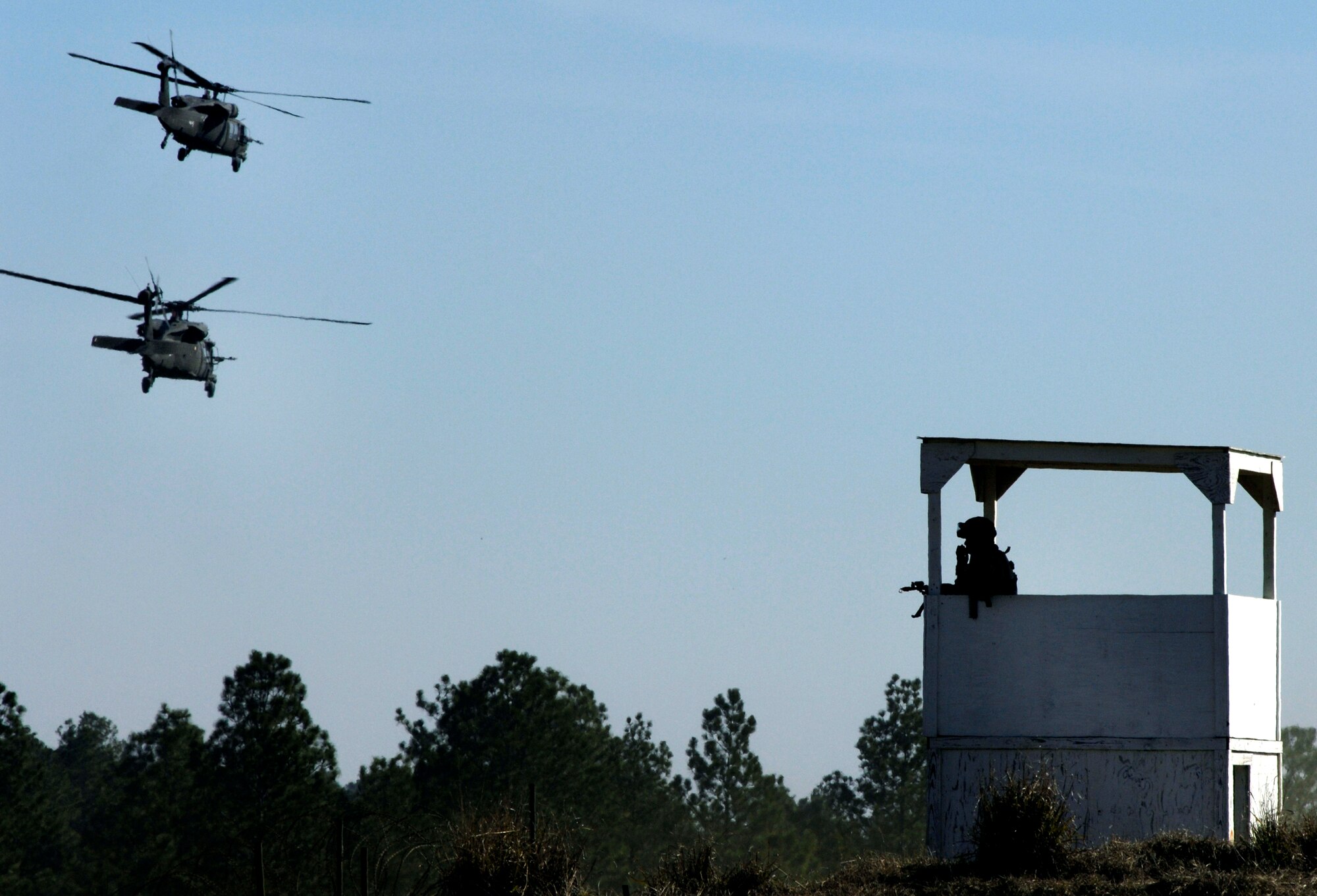 FORT POLK, La. (AFPN) -- Two UH-60 Black Hawk helicopters take off during an Air Warrior II exercise Feb. 9. Air Warrior II is a joint and total force exercise designed to give deploying units a realistic training environment. (U.S. Air Force photo by Senior Airman Brian Ferguson)

