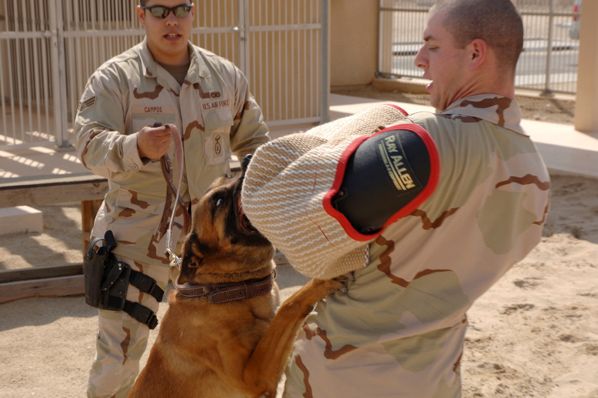 SOUTHWEST ASIA (AFPN) -- Senior Airman Martin Campos (back) conducts aggression training with his military working dog, Rico, and Senior Airman Brooks Sevin at a deployed location Feb. 24. Both Airmen and Rico are with the 379th Expeditionary Security Forces Squadron. (U.S. Air Force photo by Staff Sgt. Joshua Strang)
(Released)