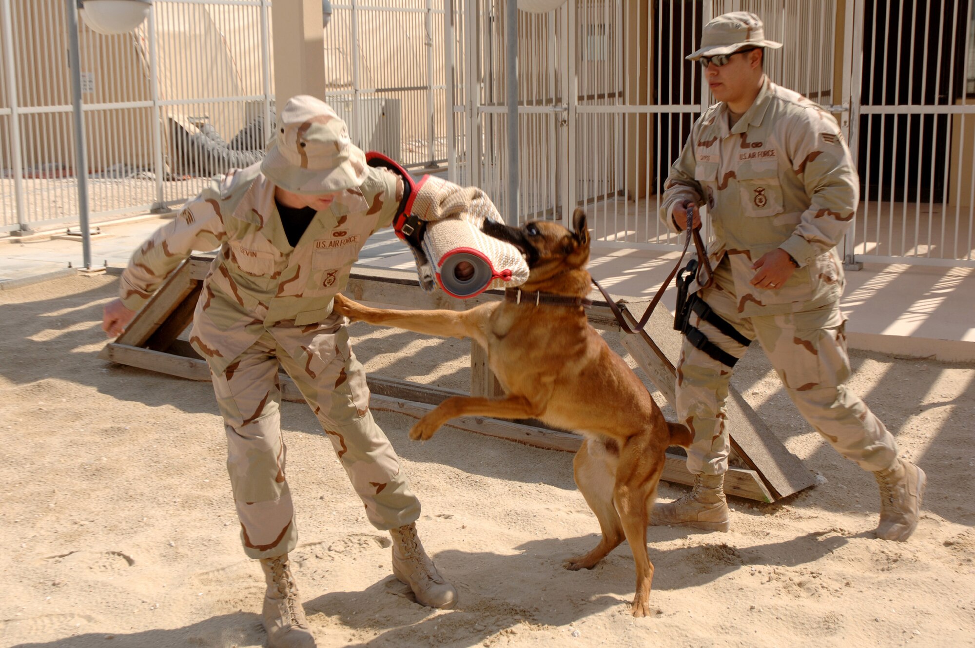 SOUTHWEST ASIA (AFPN) -- Senior Airman Martin Campos (right) conducts aggression training with his military working dog, Rico, and Senior Airman Brooks Sevin at a deployed location Feb. 24. Both Airmen and Rico are with the 379th Expeditionary Security Forces Squadron. (U.S. Air Force photo by Staff Sgt. Joshua Strang)
