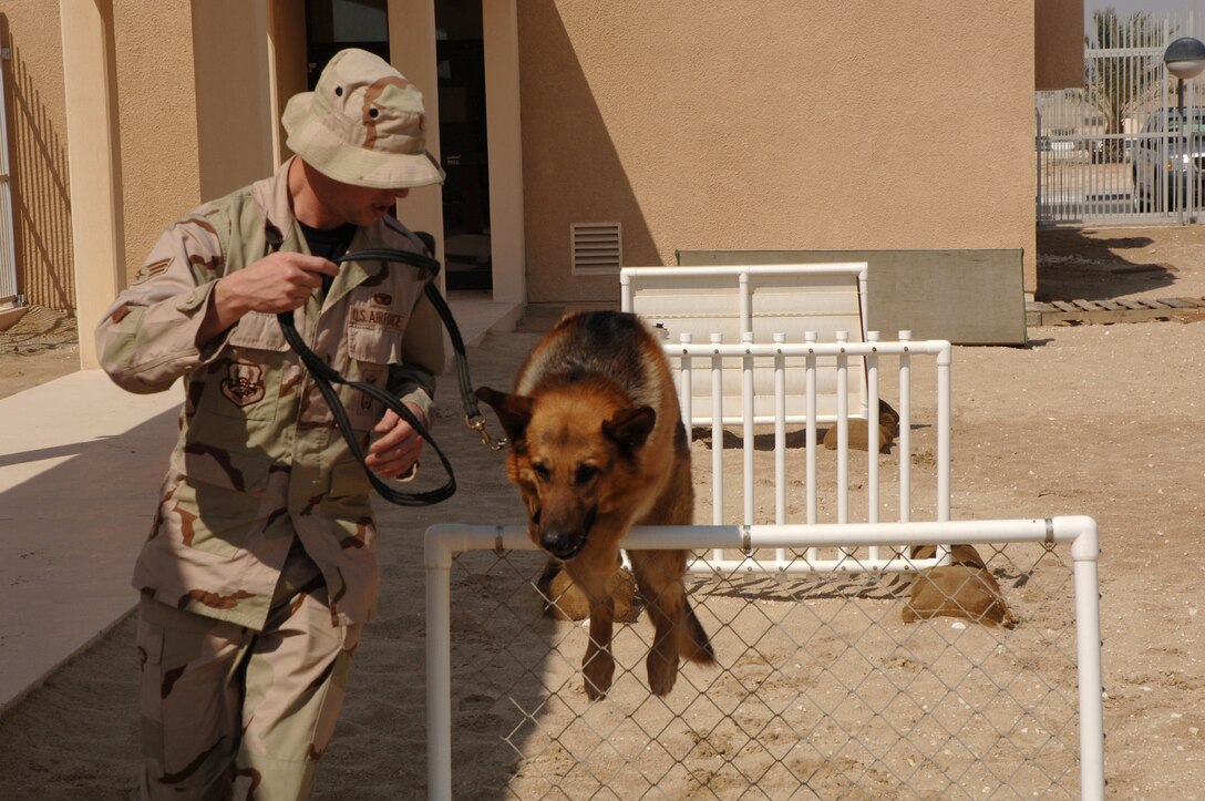SOUTHWEST ASIA (AFPN) -- Senior Airman Brooks Sevin leads his military working dog, Rex, over hurdles at a deployed location Feb. 24. Airman Sevin and Rex, a German shepherd, are with the 379th Expeditionary Security Forces Squadron. (U.S. Air Force photo by Staff Sgt. Joshua Strang)