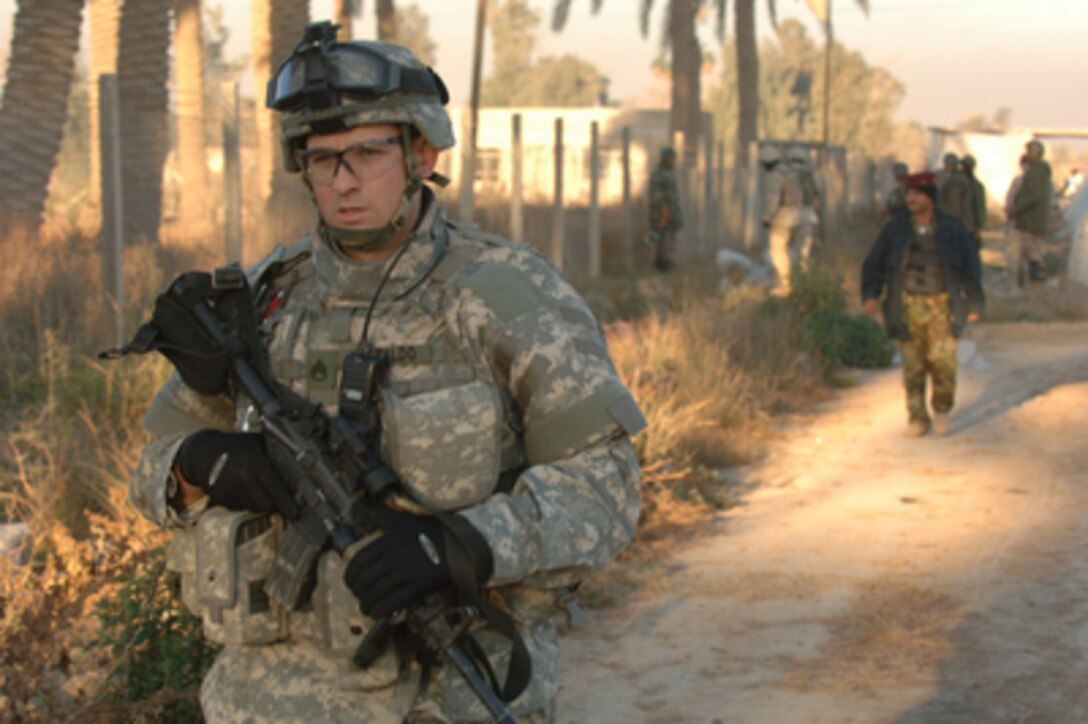 Soldiers from the U.S. Army's 4th Battalion, 320th Field Artillery Regiment, 101st Airborne Division, and Iraqi police search a field during sweeps on a farm in the Zafaraniya district of Baghdad, Iraq, on Dec. 29, 2005. The sweeps are conducted to search out weapons and items used to make improvised explosive devices. 