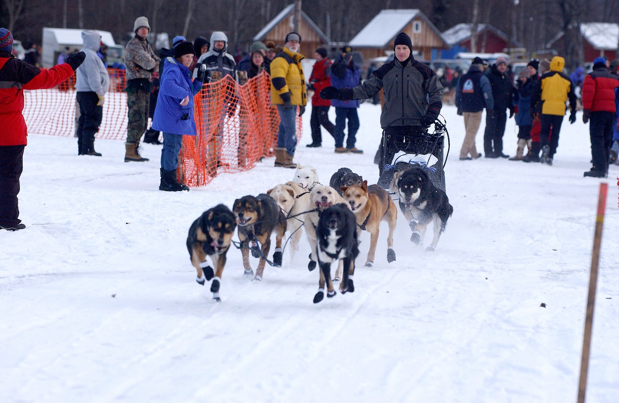 KNIK, ALASKA (AFPN) -- Maj. Tom Knolmayer waves to spectators at the start of the Knik 200 Sled Dog Race. Major Knolmayer and his nine-dog team finished the 200 mile race in 25 hours and 43 minutes, including a mandatory six hour rest stop for the dogs. The major was the first active-duty military member to complete the 1,100 mile Iditarod Sled Dog Race last year. He is planning to compete in this years' Iditarod. Major Knolmayer is the 3rd Medical Group's chief of surgery at Elmendorf Air Force Base, Alaska. (U.S. Air Force photo by Tech. Sgt. Keith Brown)