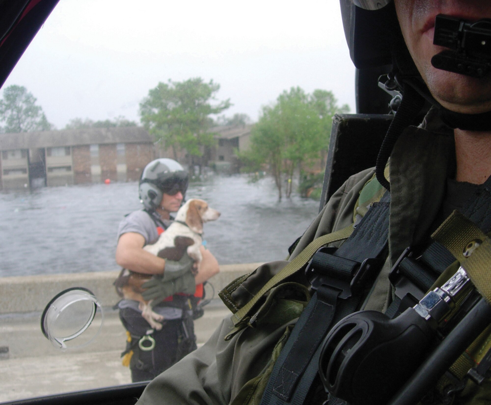 NEW ORLEANS, La.- Surrounded by flood waters, Senior Master Sgt. Pete Callina rescues the stranded beagle from the I-10 overpass. The dog assisted Sergeant Callina, a pararescueman with the 308th Rescue Squadron, by shepparding hurricane victims into waiting 920th Rescue Wing helicopters. (U.S. Air Force photo)