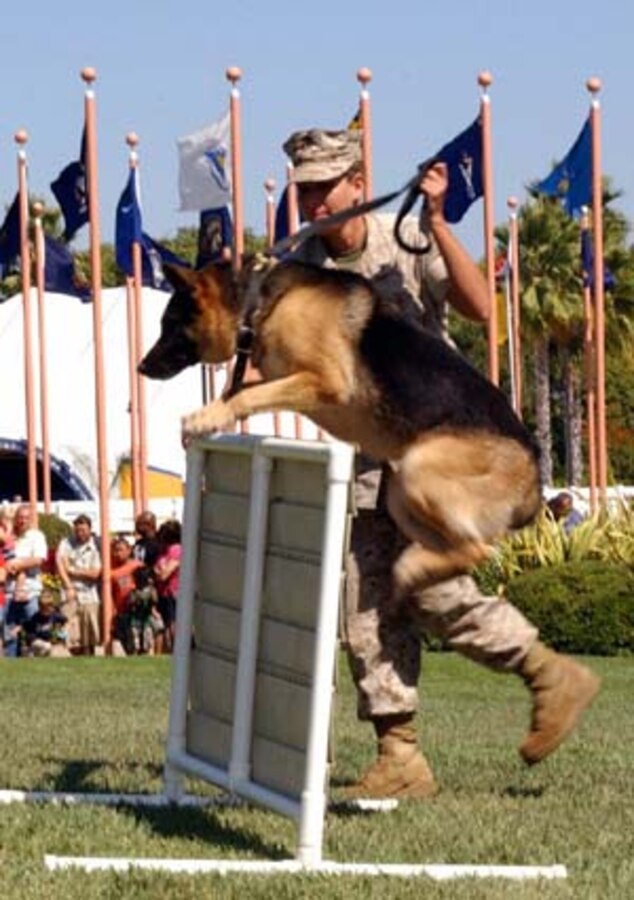 Lance Cpl. Tara Parrish, military police working dog handler, Marine Corps Air Station Miramar, and her dog demonstrate part of their training during an obstacle course demonstration at SeaWorld?s annual ?Sea to Shining Sea? music festival Sept. 18. Miramar?s K9 unit performed at the festival?s opening weekend, and has participated in the festival for three consecutive years.