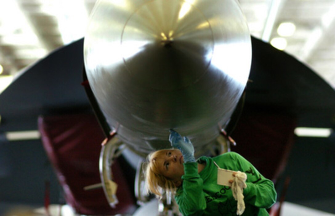 Navy Petty Officer Michelle Shepard repairs minor nicks and scratches in the radar dome of an F/A-18F Super Hornet aircraft in the hangar bay of the aircraft carrier USS Ronald Reagan (CVN 76) on Jan. 14, 2006. Shepard is assigned to Strike Fighter Squadron 22, which is deployed from Naval Air Station Lemoore, Calif., as part Reagan's embarked Carrier Air Wing 14. The Reagan is on her maiden deployment to conduct naval operations in support of the global war on terror. 