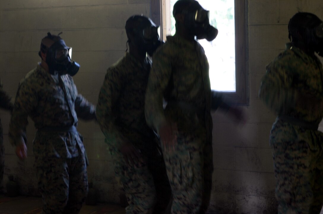 MARINE CORPS BASE CAMP LEJEUNE, N.C.- Sgts. Juan A. Gavilanes and William C. Dove and Pfcs. Jermaine L. Francis and Maurice J. Oden, all artillerymen from Battery K, 3rd Battalion, 10th Marine Regiment side-straddle hop as part of their gas mask re-certification here, June 20. ?These exercises give Marines the confidence to know that they can work with the mask on,? said Cpl. Michael Cronkhite, the nuclear, biological and chemical chief for the battalion.