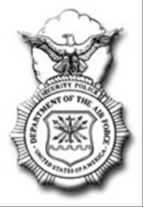 347th Security Forces Squadron