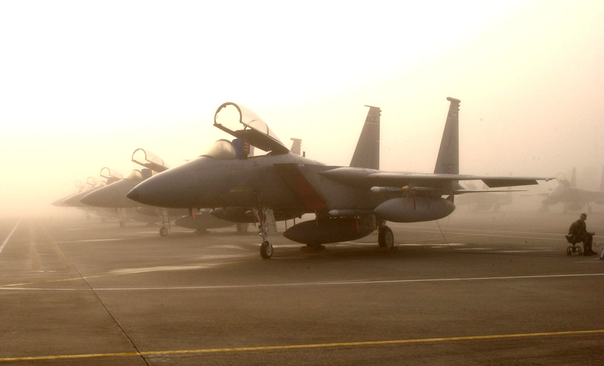 JACKSONVILLE AIR NATIONAL GUARD BASE, Fla. (AFPN) -- Five F-15 Eagles sit on the flightline here before a morning launch Jan. 22. The Eagles are with the 125th Fighter Wing. The wing is participating in an operational readiness exercise to help ensure the unit is capable of deploying personnel and equipment safely and efficiently. (U.S. Air Force photo by Master Sgt. Larry Show)