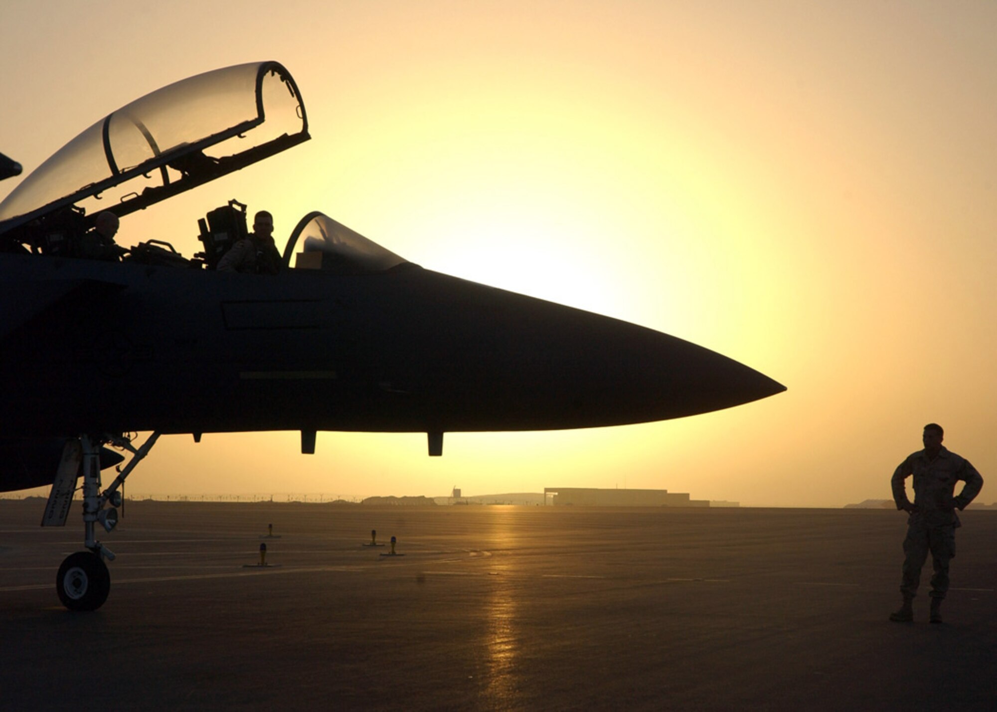 SOUTHWEST ASIA (AFPN) -- An F-15E Strike Eagle is silhouetted against the sunrise at a deployed location here. The pilot and aircraft were assigned to the 492nd Expeditionary Fighter Squadron.  The unit returned to its home station at Royal Air Force Lakenheath, England, Jan. 25.  (U.S. Air Force photo by Airman 1st Class Anthony Nelson Jr.) 
