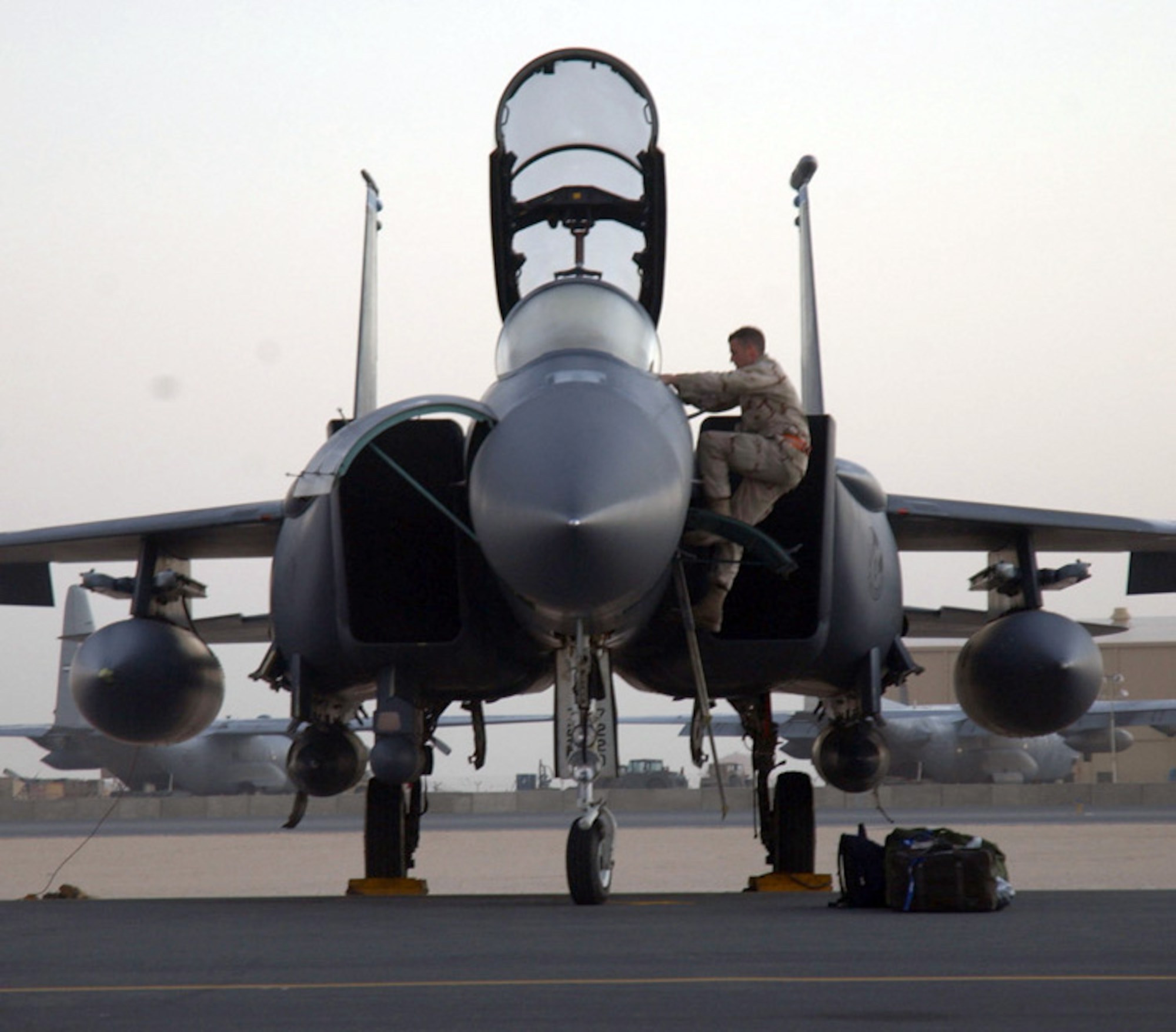 SOUTHWEST ASIA (AFPN) -- A crew chief climbs into the cockpit of an F-15E Strike Eagle and conducts preflight inspections before departure from a deployed location here Jan. 25.  The Strike Eagles were returning to their home station at Royal Air Force Lakenheath, England.  The aircraft were assigned to the 379th Air Expeditionary Wing.  (U.S. Air Force photo by Airman 1st Class Anthony Nelson Jr.)

