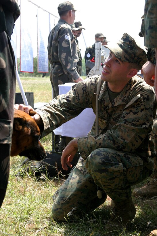 BELGUAM, India (Oct. 26, 2006) -- A Marine with Echo Co., Battalion Landing Team 2/4, pets one of India Army?s Alpha Co., 21st Battalion, The Punjab Regiment canines in order to familiarize himself with Indian weapons and tactics during Exercise Shatrujeet 06.