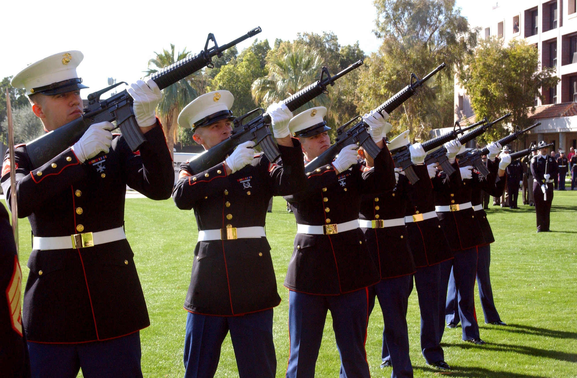 Marine Saluting Gif Submitted 23 hours ago by calmlikea3omb. marine saluting gif