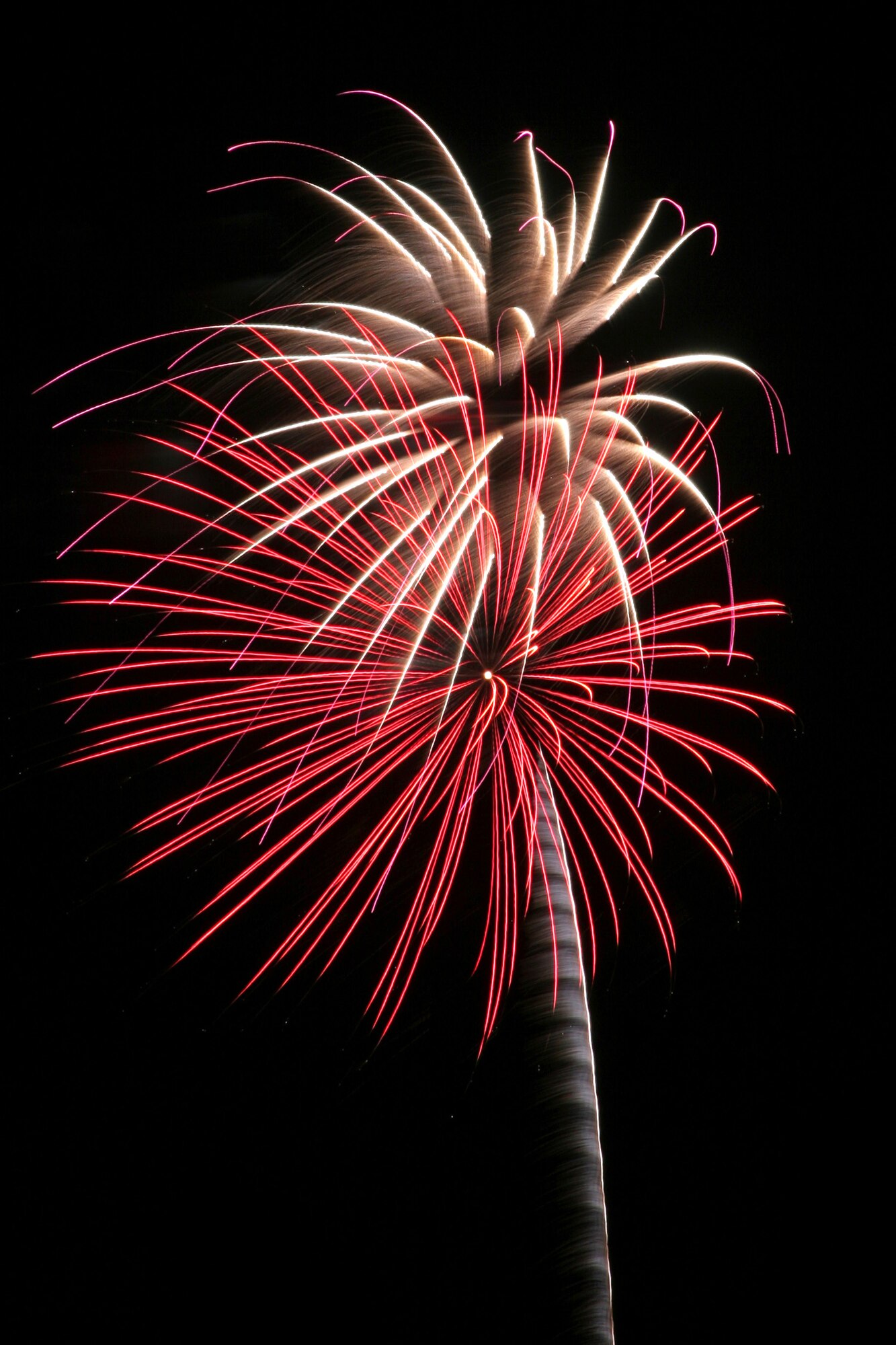 Happy Independence Day, America! Fireworks are shown from the 2005 celebration at Lackland Air Force Base, Texas.  (U.S. Air Force photo/Robbin Cresswell)

