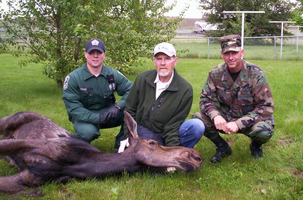 A young female moose found her way onto the base early Saturday morning and was roaming around the base housing areas. The 92nd Air Refueling Wing teamed with Washington State Fishing and Wildlife Department wardens to sedate, capture, secure, revive and transport for release the frightened animal. She was returned to the wild unharmed and without any damage to base property.
