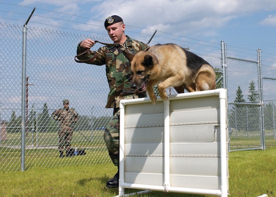 EIELSON AIR FORCE BASE, Alaska--Staff Sgt. Robert Wilson, 354th Security Forces Squadron military working dog handler, runs Iro though the confidence course at the MWD facility. The confidence course is one of the training tools used to prepare the working dogs for real-life situations. (U.S. Air Force Photo by Senior Airman Rachel Walters)